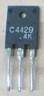 2SC4429.JPG