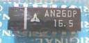 AN260P.JPG